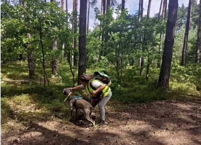 На Львівщині зникла 11-річна дівчинка, її шукають уже чотири дні