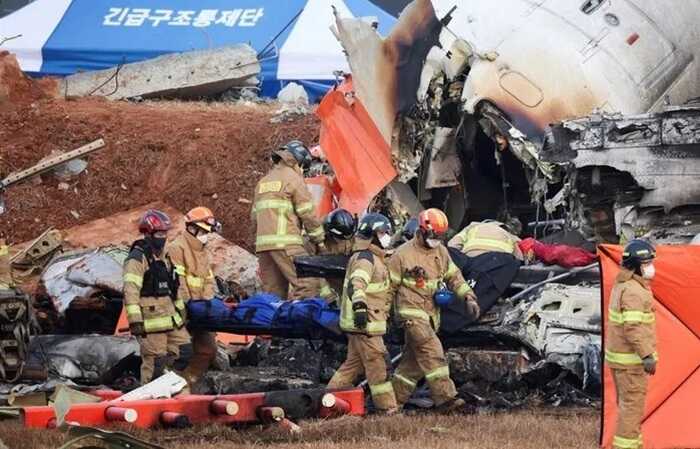 У двигунах літака Jeju Air, який розбився у Південній Кореї, виявили пташине пір’я та кров — ЗМІ