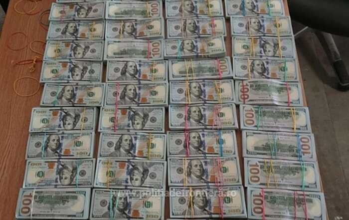 Румунські митники вилучили у подружжя з України 1,4 мільйона доларів готівки