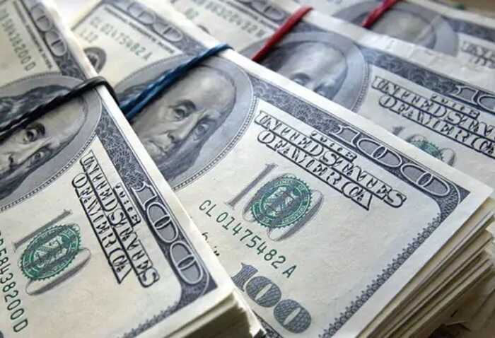 Українці-мільярдери в США: представлено оновлений рейтинг найуспішніших іммігрантів
