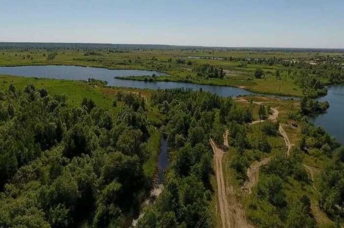 Офіс Генпрокурора вступив у справу щодо захисту заказника “Осокорківські луки” через бездіяльність Київради